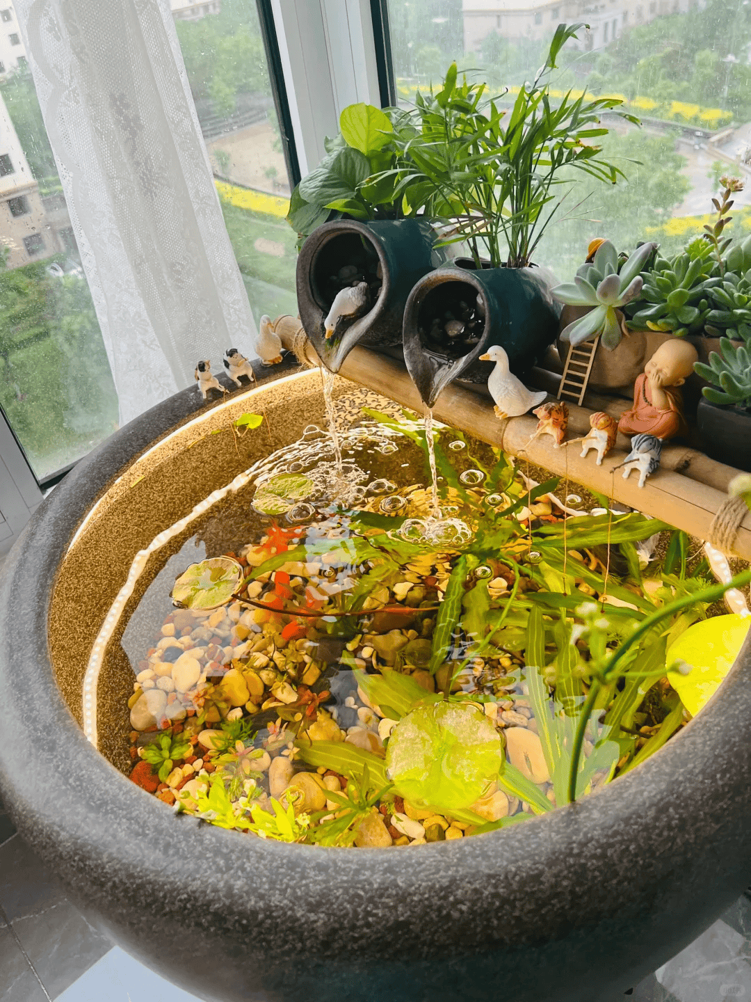 江苏一妈妈用塑料瓶改造成小鱼缸不花钱的治愈感谁懂