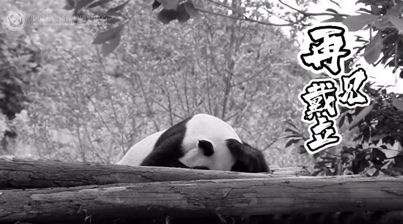 人心脏看什么都是脏的文艺的说法- 抖音, image size:1373x765