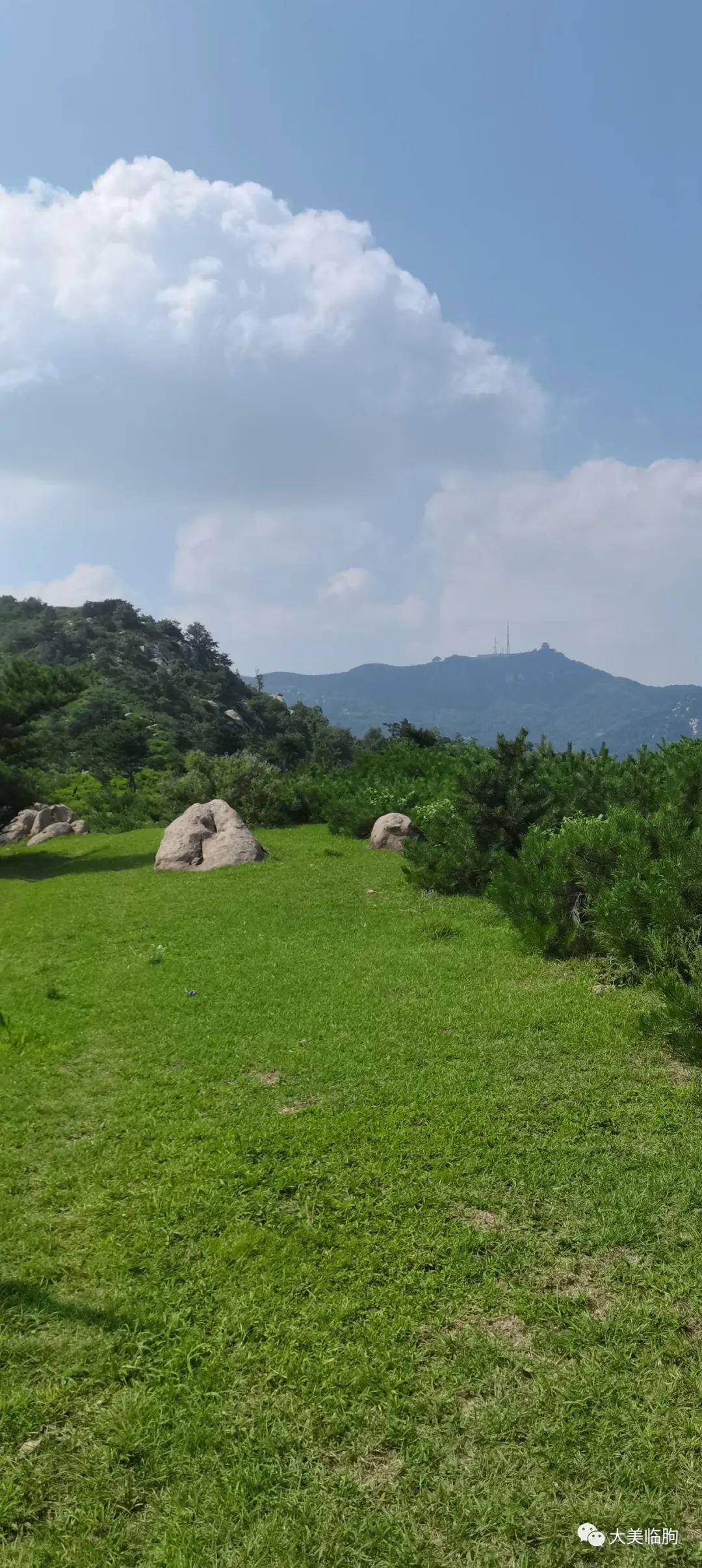 临朐九山云中草原图片