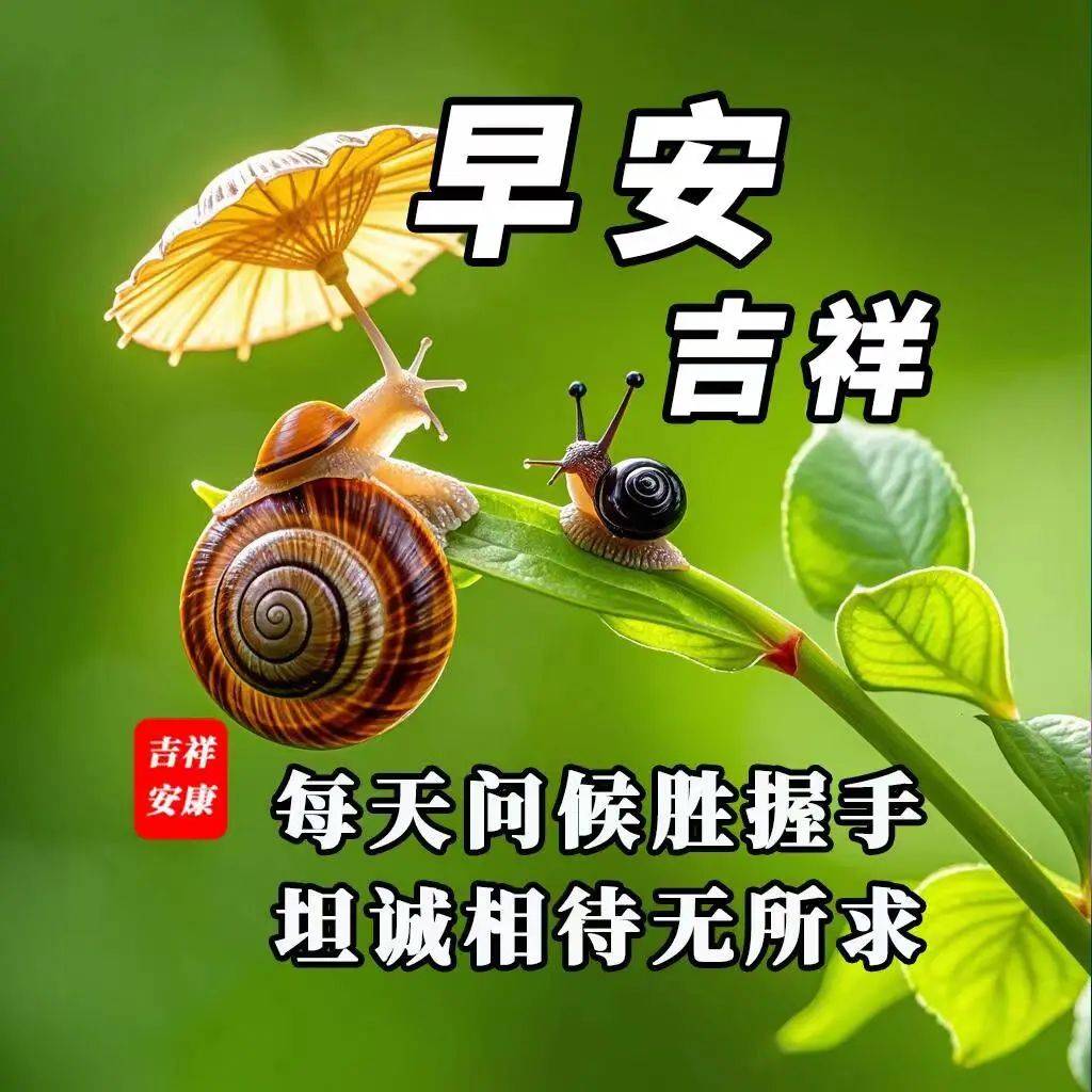 师傅早上好表情包图片