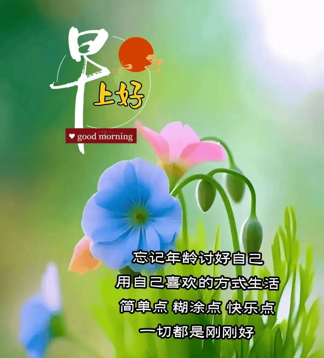 老年人早上好问候短句图片