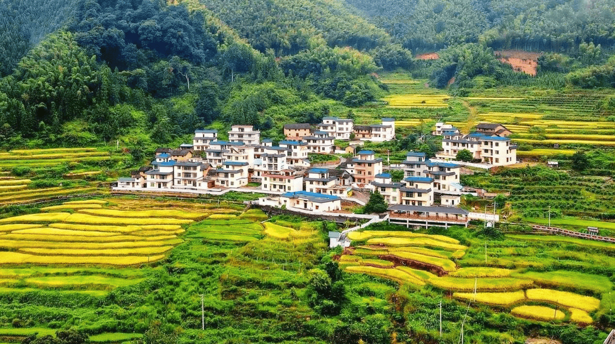 长隆集团党委与清远阳山县太平镇沙陂村"红联共建",资助其建设1000