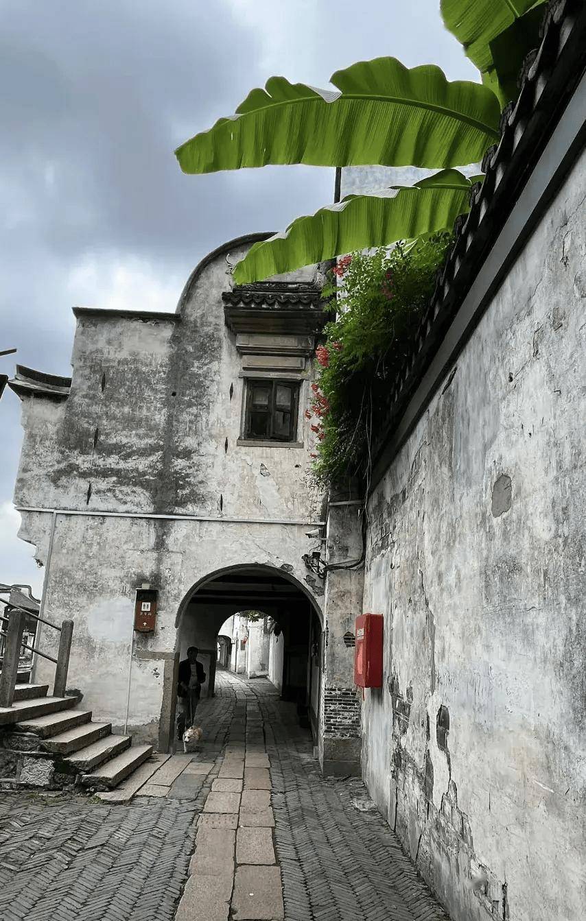 永久免费!比起乌镇,我更爱这个被国家地理评为江南最美的古镇