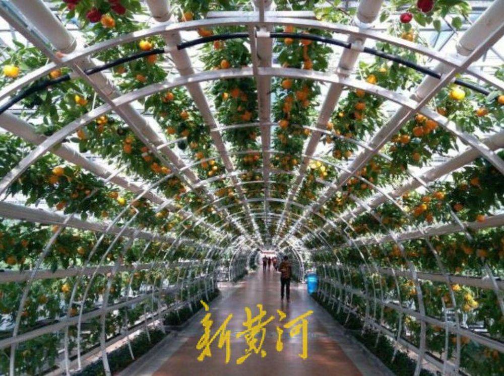 🌸关爱下一代网 【新澳门精准资料大全管家婆料】_人民城市·五周年｜量化目标 细化任务 明确年内完成！这个街道发布系列民生实事项目和重大工程  第2张