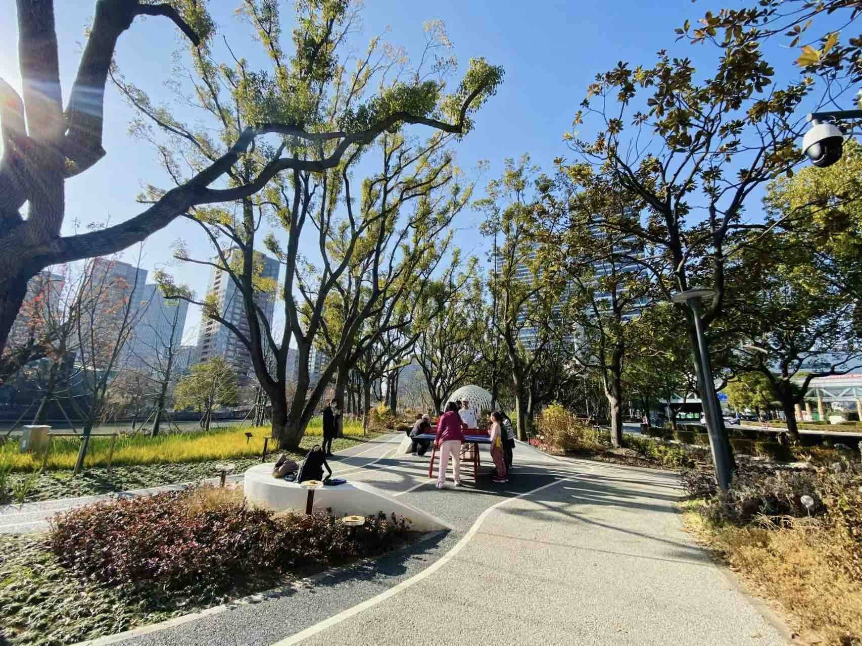 让居民开门见"景" 浦东花木街道以"绿"破题