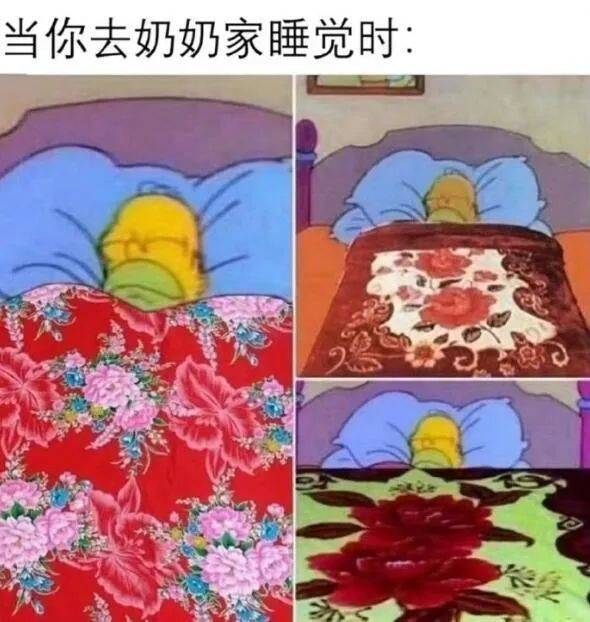 社会边角料，奶奶的小骄傲！