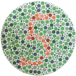 一,单个数字今天,我们就来深入解析车管所色盲测试图的四大类型,看看