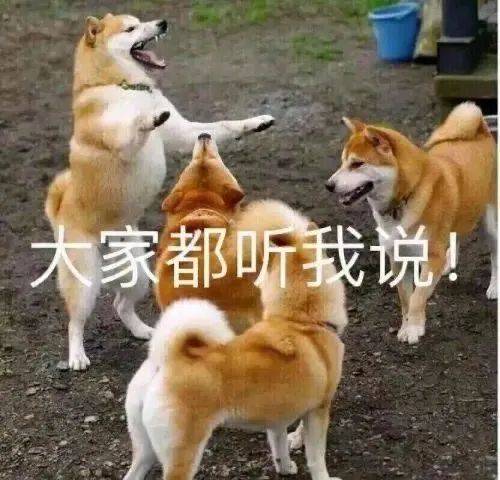 抖音吊黑=黑掉一个人的抖音