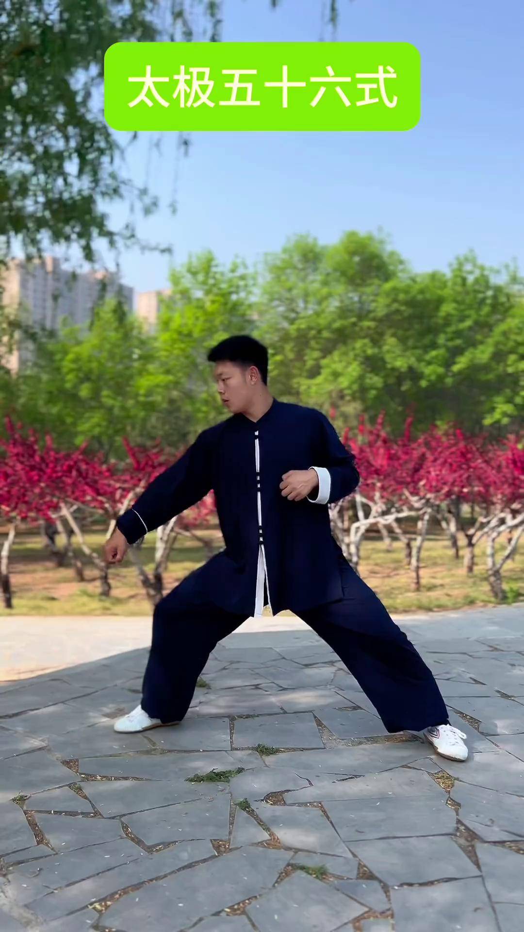 关于太极拳阴阳的信息 关于太极拳阴阳的信息（太极拳中的阴阳哲理） 太极拳