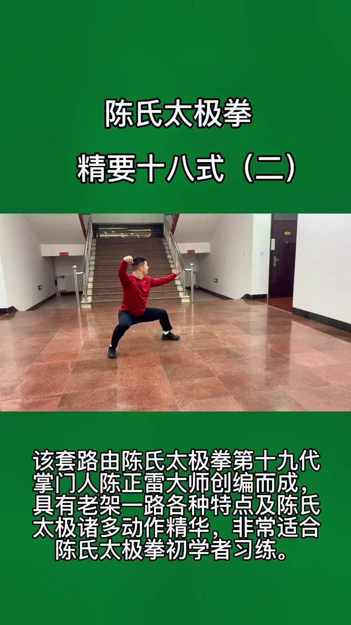 陈氏太极拳精要十八式(二)陈氏太极拳 传统武术套路 太极拳教学