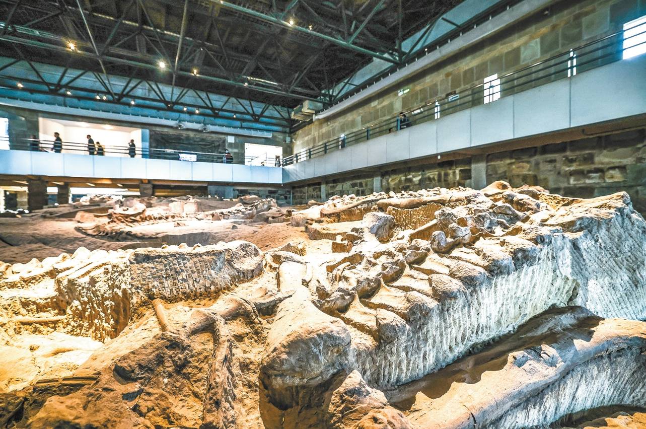 中国三地入选全球第二批百个地质遗产地名录,涉及古生物学、地貌等领域_化石_植物_喀斯特