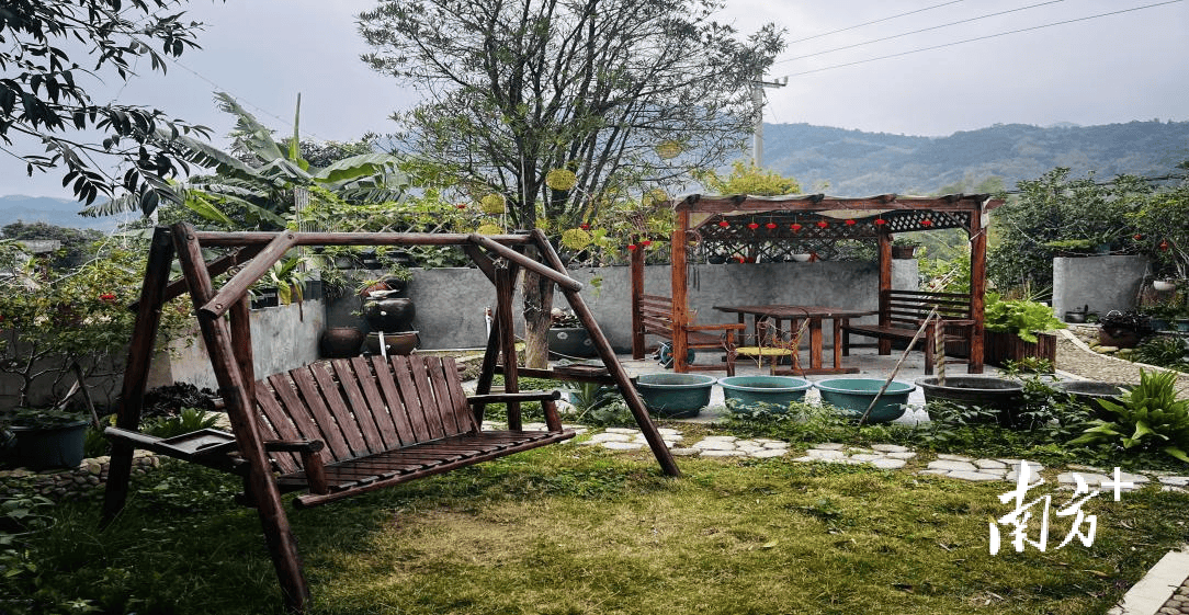 电白新增11户省"美丽庭院"户,小庭院点"靓"绿美乡村