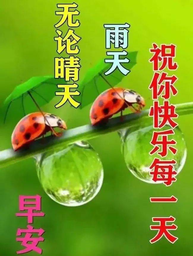 现在的早上好图片彩图图片