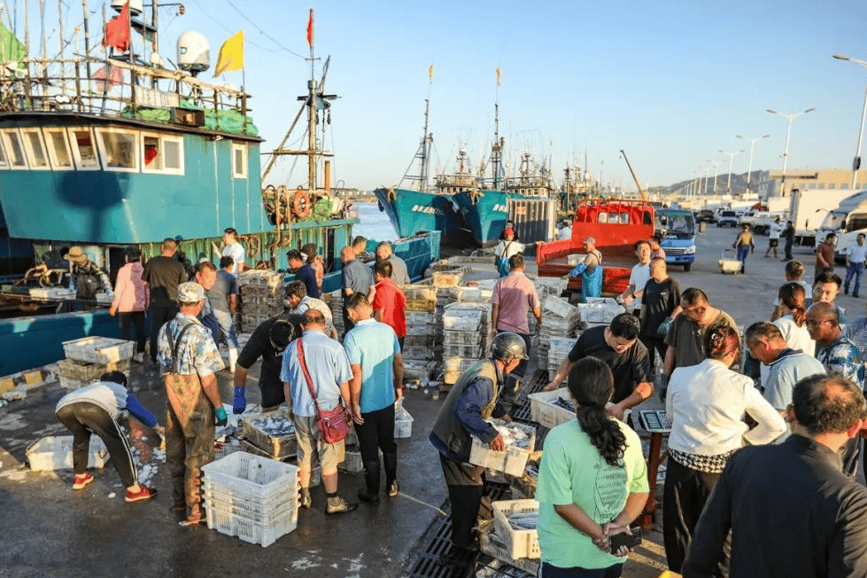 日照码头海鲜市场图片