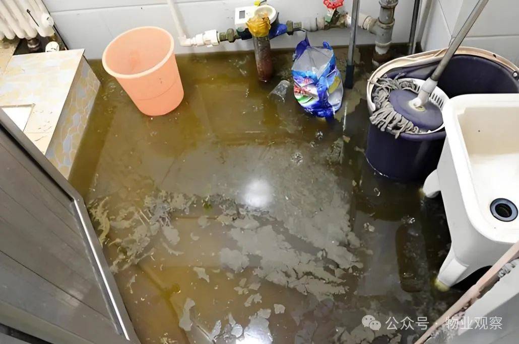 业主屋内反水，物业该怎么办？
