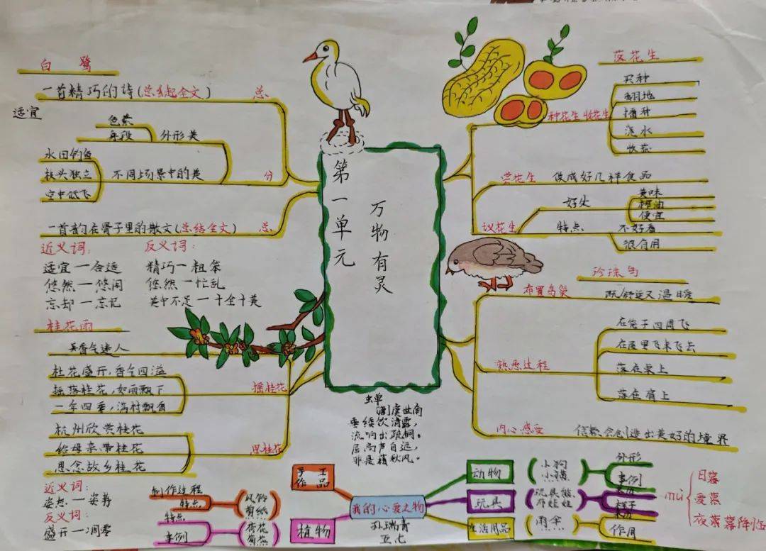阅读篇"语"你同行思维导图是构建知识框架的绝佳工具
