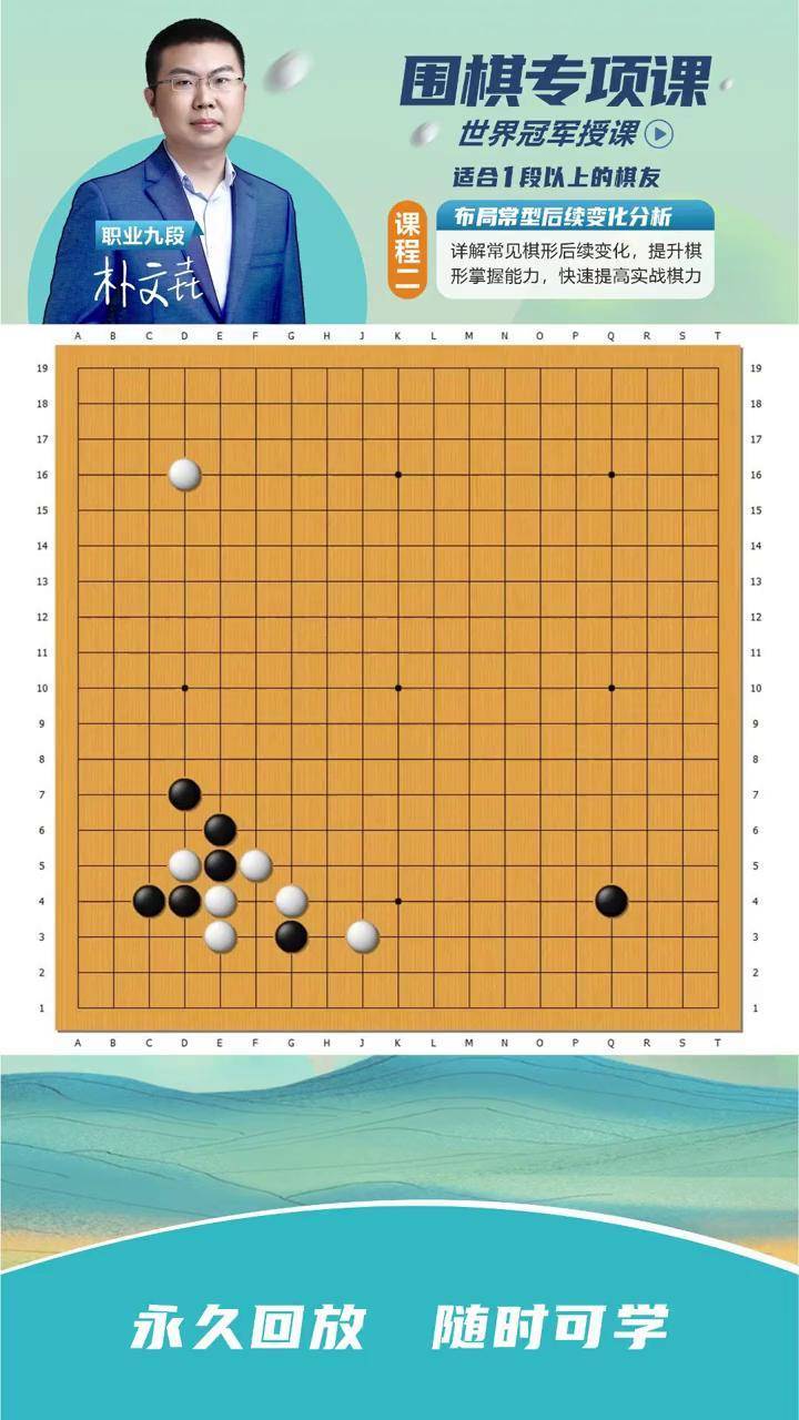 探索围棋世界：一本让你棋艺大增的好棋谱