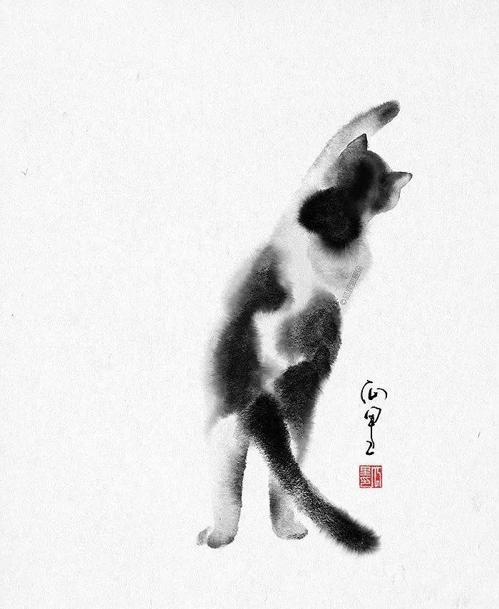 彩铅教程 猫咪画法