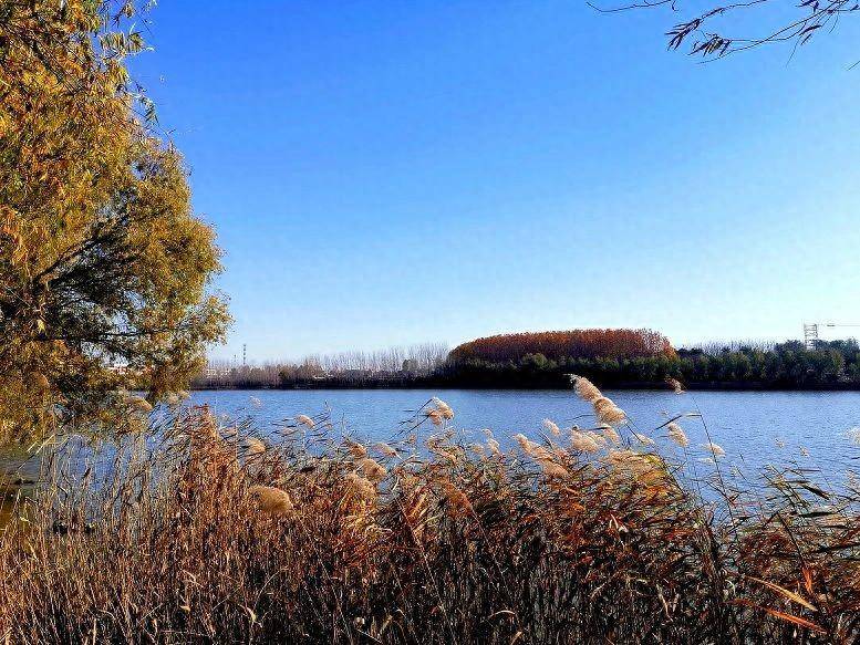 50多年前,长葛挖通哪两条河道,建了佛耳岗水库?