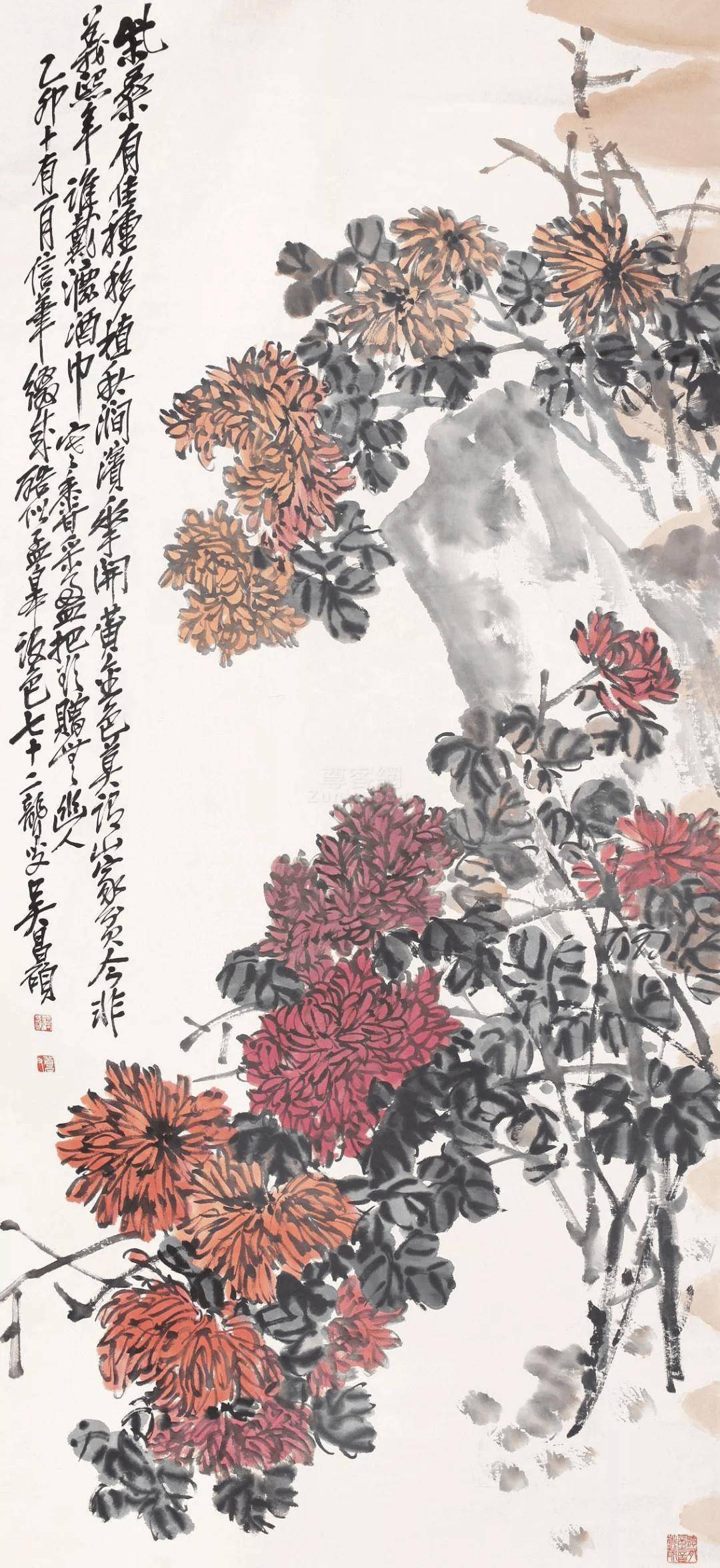 吴昌硕画菊