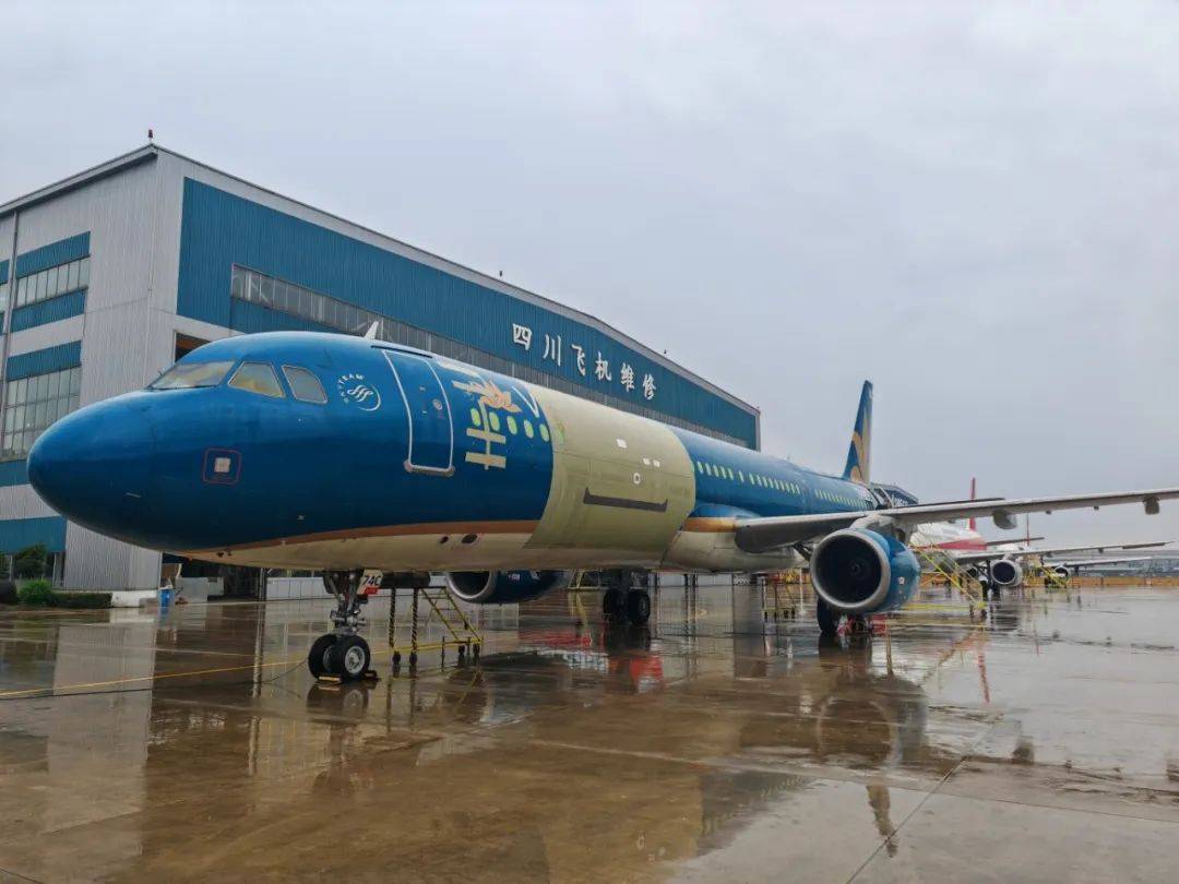 川航a321飞机图片