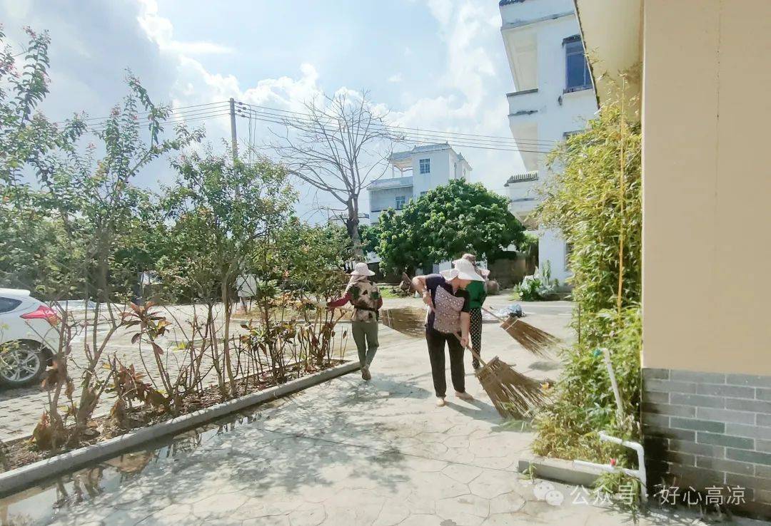 【走进典型镇村】高州分界储良村:"杏花研学"为乡村发展注入了蓬勃新