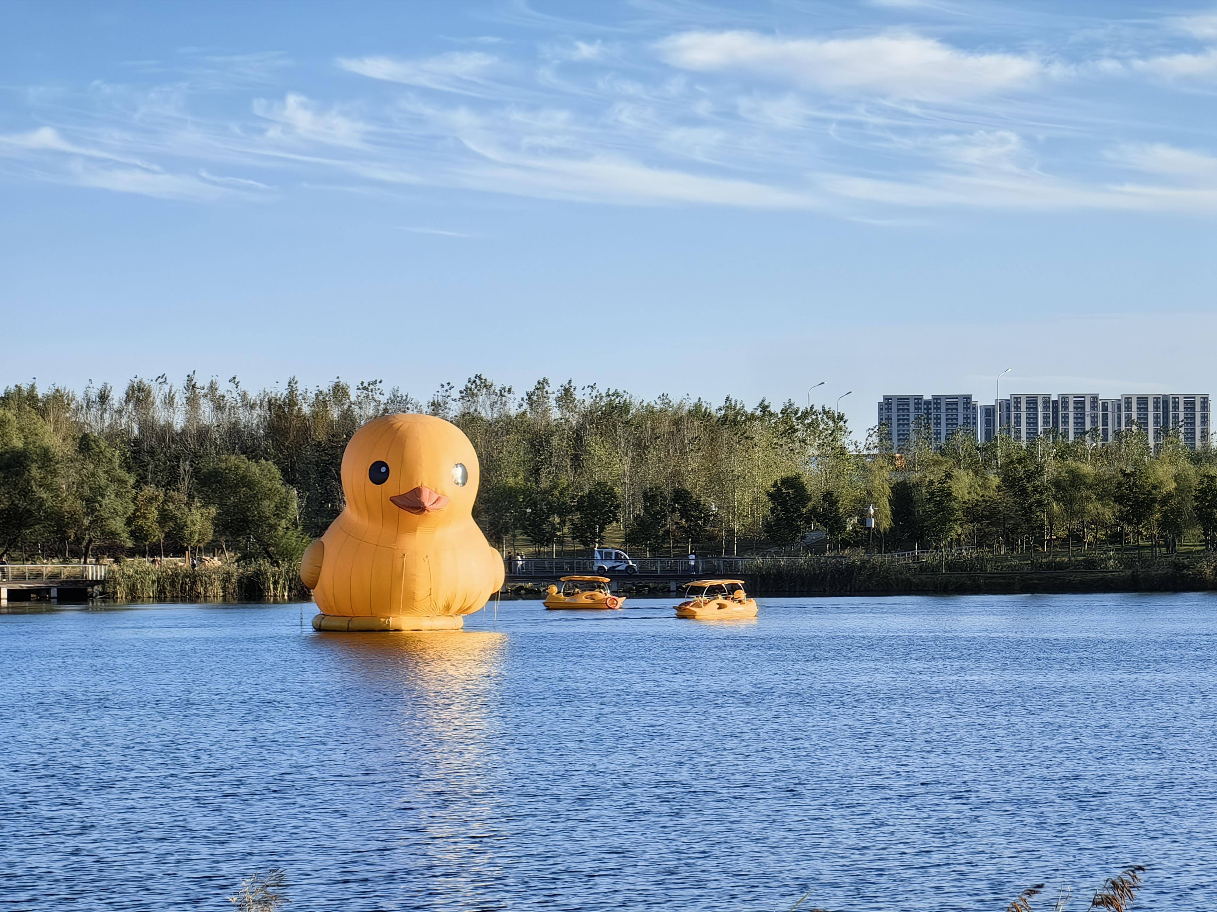 长春南溪湿地公园图片