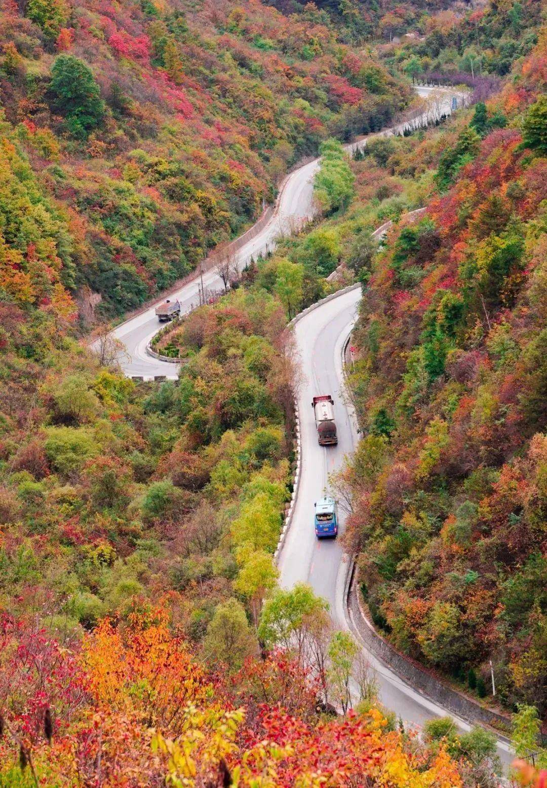 秦岭最美县城图片