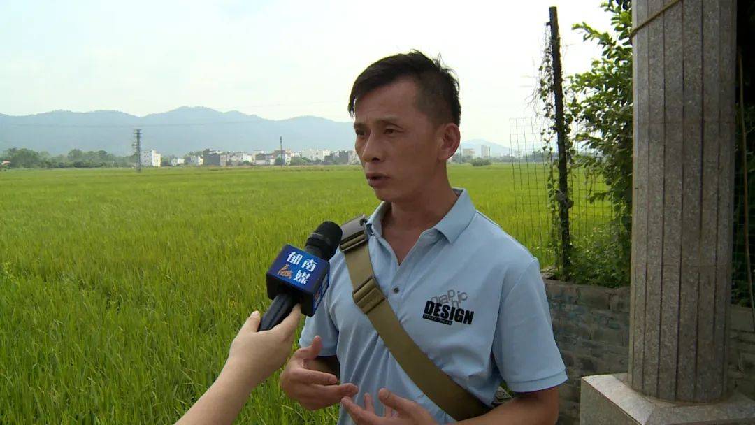 三十而励丨郁南:绿色金融引领创新 助力县域经济高质量发展_连滩镇