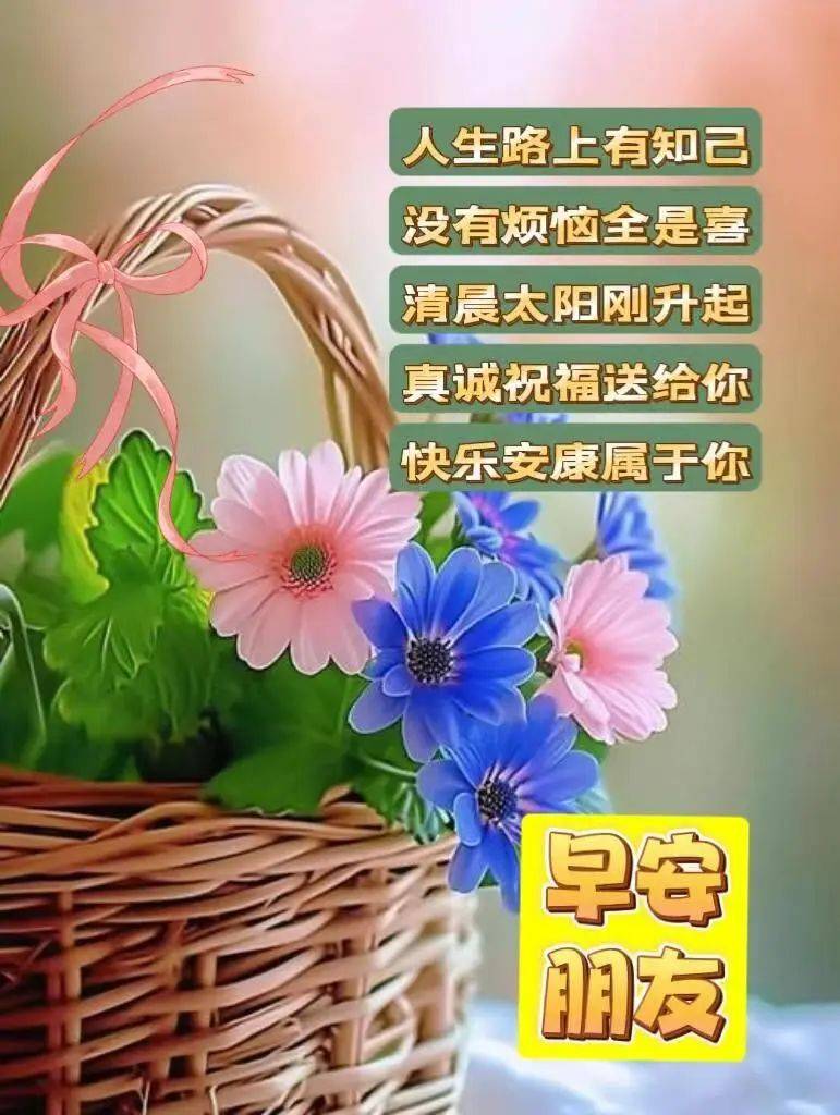 今日最新版早上好表情图片,问候暖心,早安吉祥!