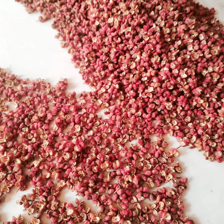 2024头茬大红袍花椒 59.9元/500g 产地直发 全国包邮