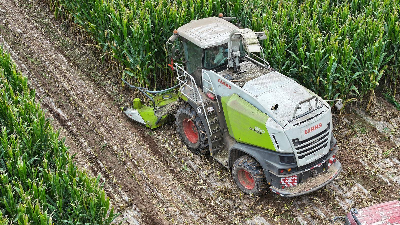 古浪:青贮玉米收割忙 奏响秋日丰收曲