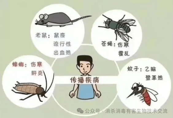 科普知识:什么是四害?除四害要注意些什么?_传播_蟑螂_老鼠