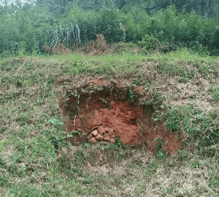 黄草湾郊野公园坟墓图片