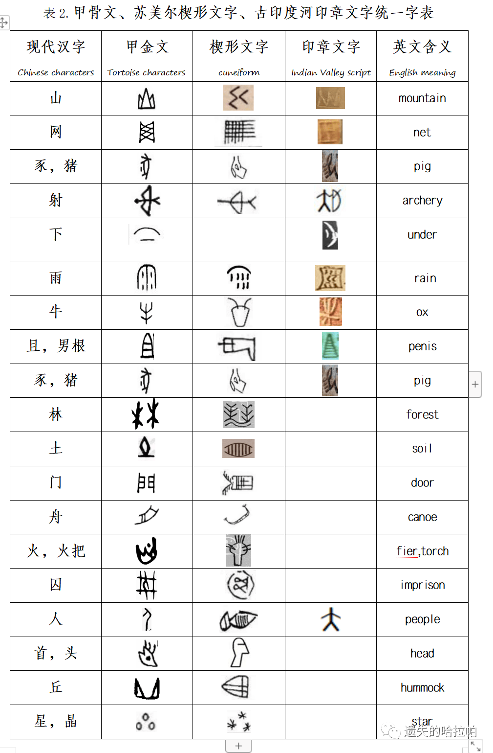 印度最早的文字图片