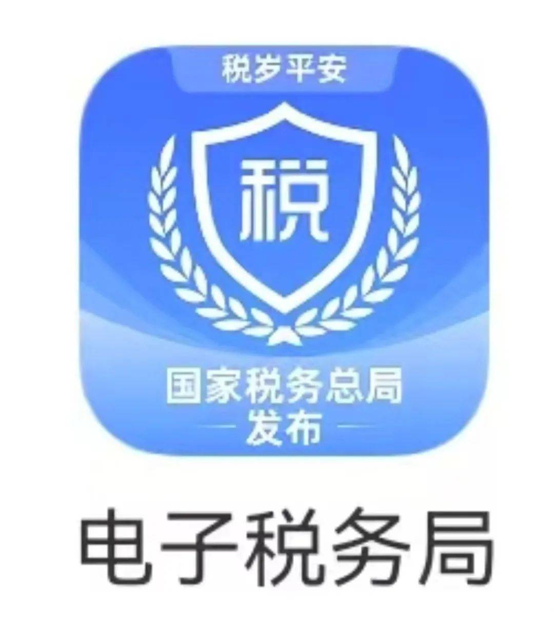 国家电子税务局图片