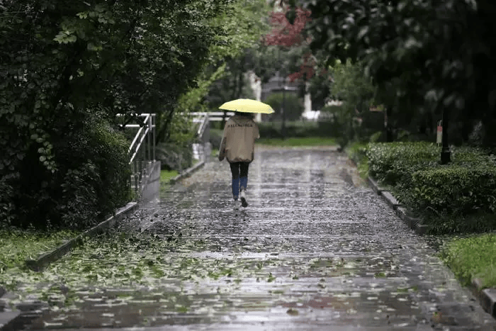 户县大雨图片