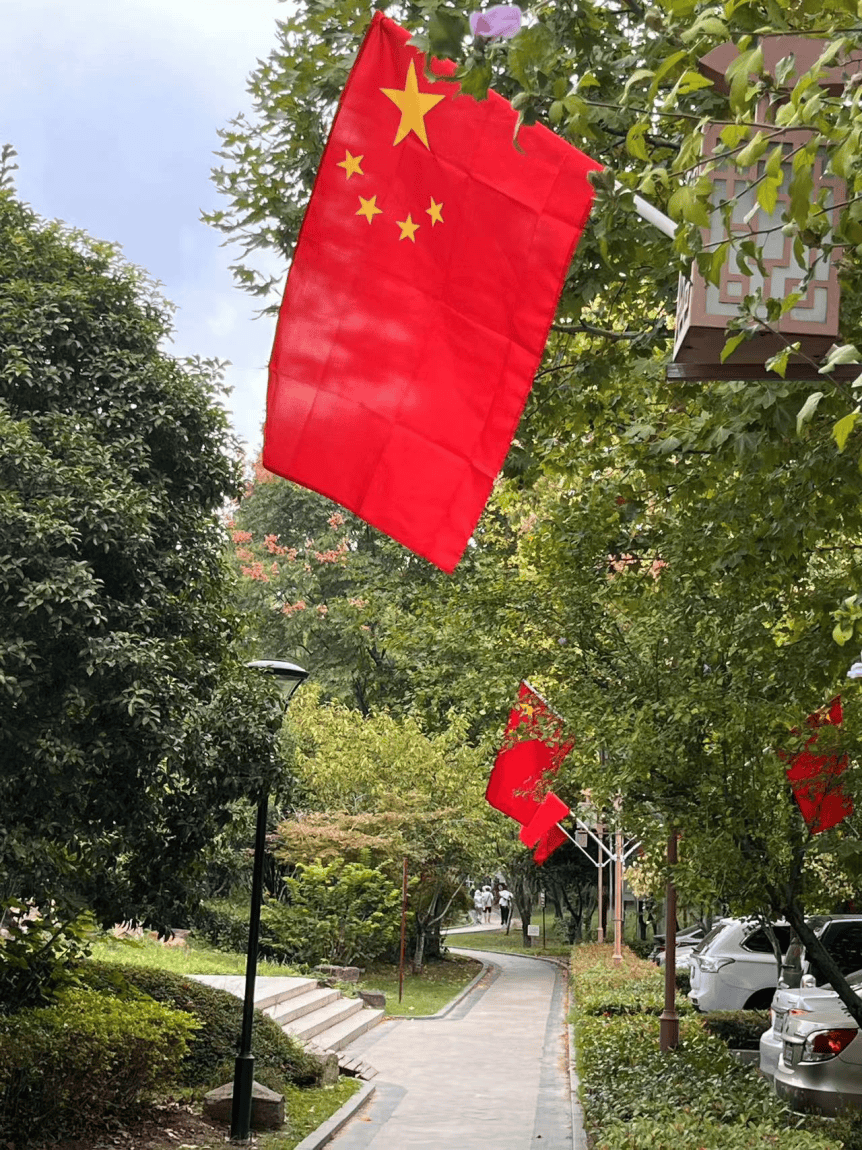 一面面五星红旗高高飘扬,与蓝天白云,绿树红花相互映衬,形成了一道道