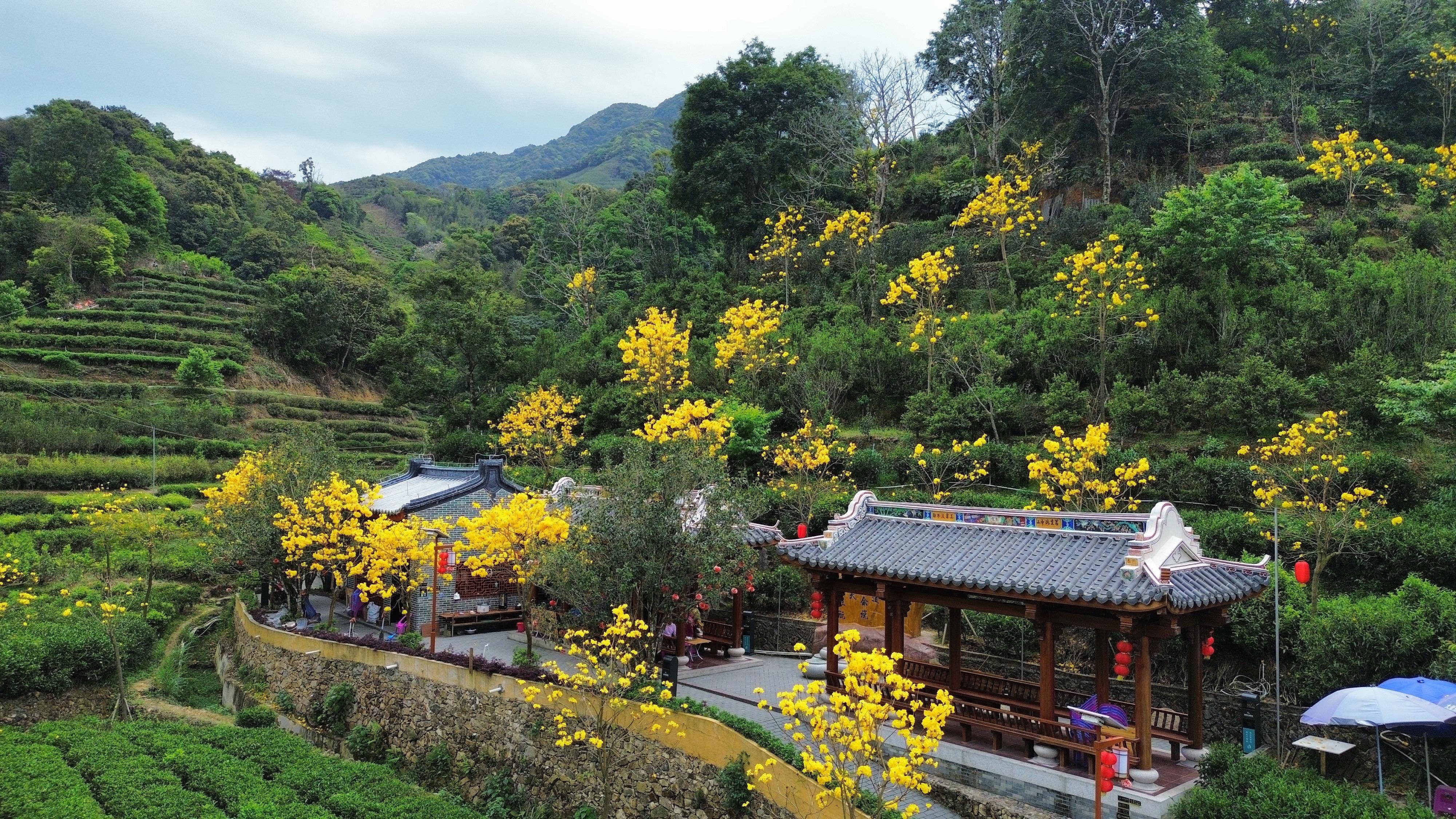 惠阳好玩的地方和景点图片