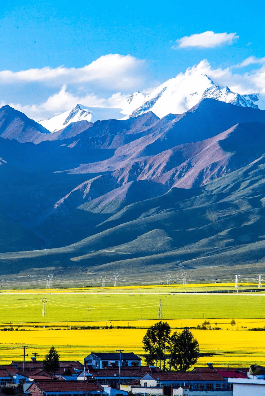 西北地区的景观变化图片