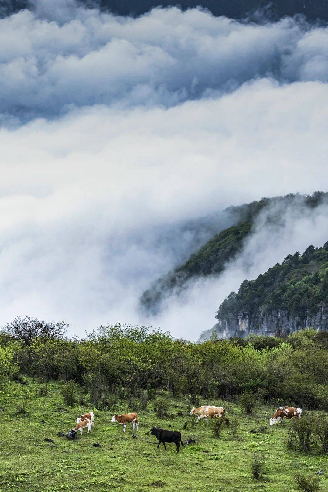 高山壁纸高清图片大全图片