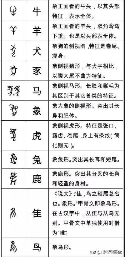 象字的演变过程及故事图片