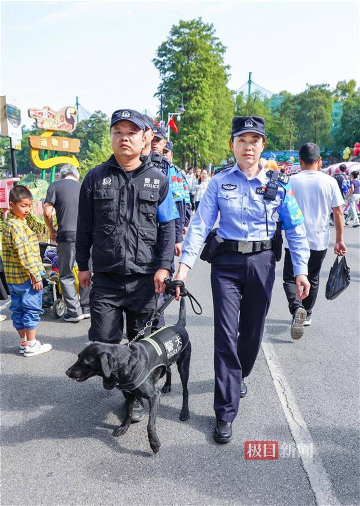 北京女子警犬队图片