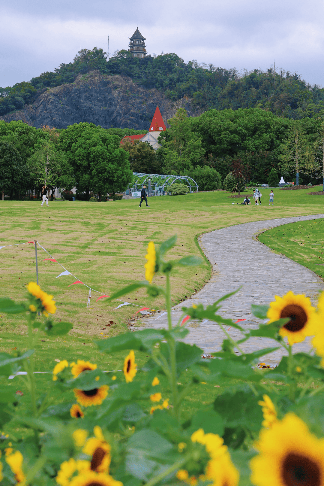 松江遛娃可以去这里逛_李瑞丰_演出_植物园