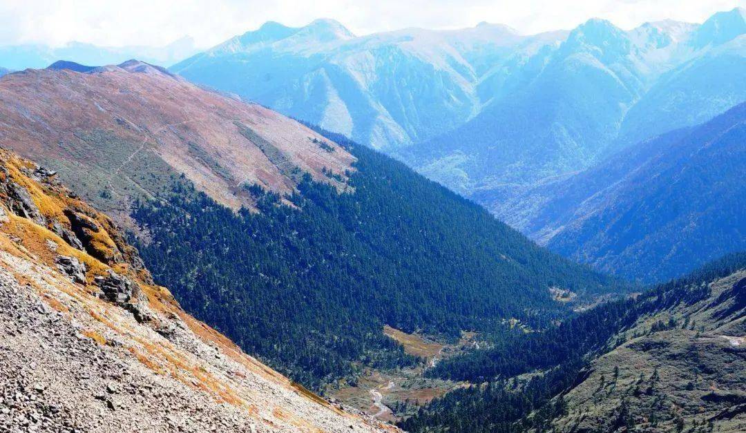【地理差异】高考地理中的林线倒置、18座山脉的垂直自然带谱,总结全了!_树木_山谷_海拔