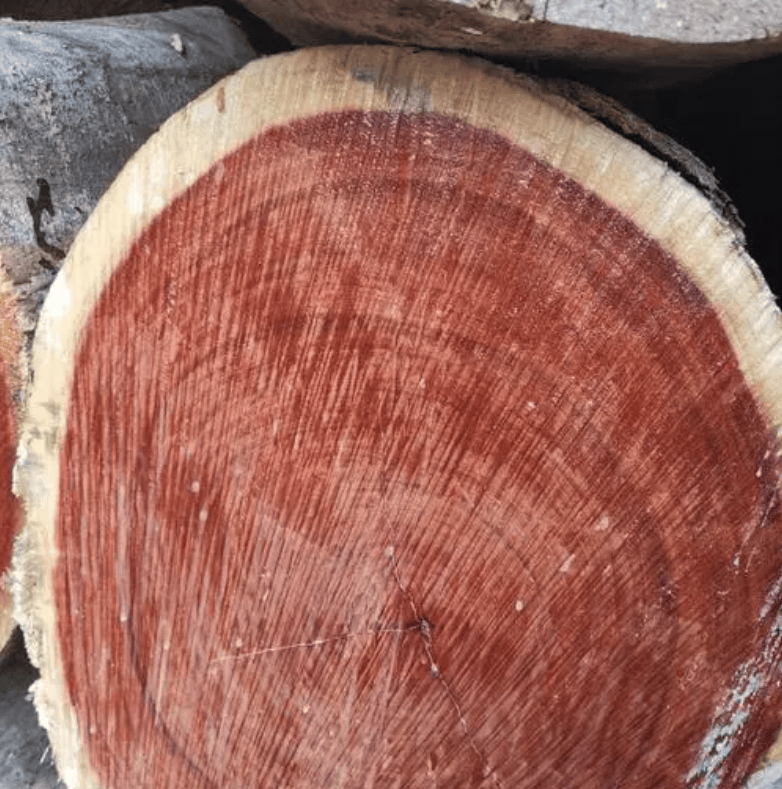 "木王"红檀香是什么木头?