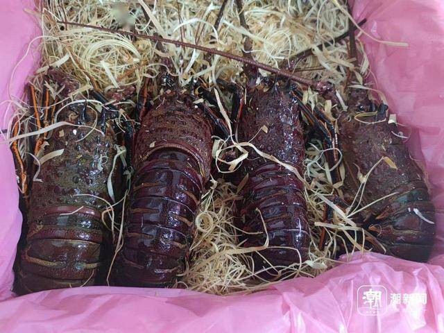 杭州有海鲜老板7天入账200万元-杭州做海鲜生意怎么样赚钱吗