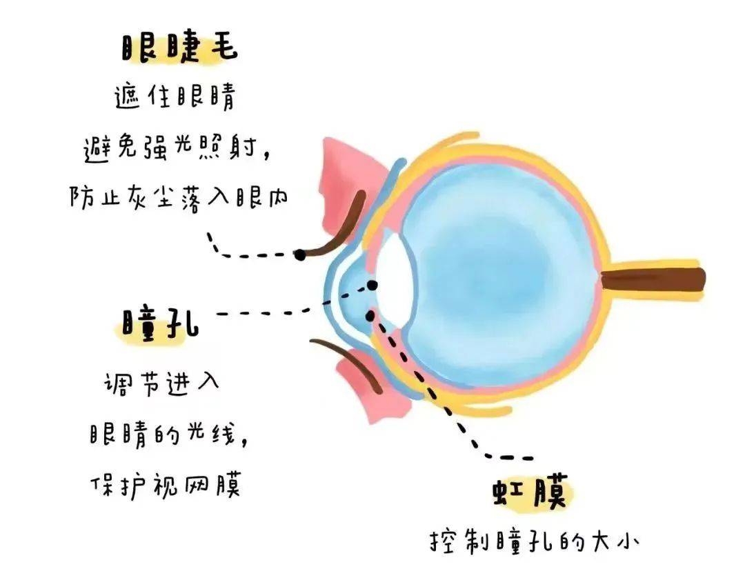 保护眼睛我知道图片