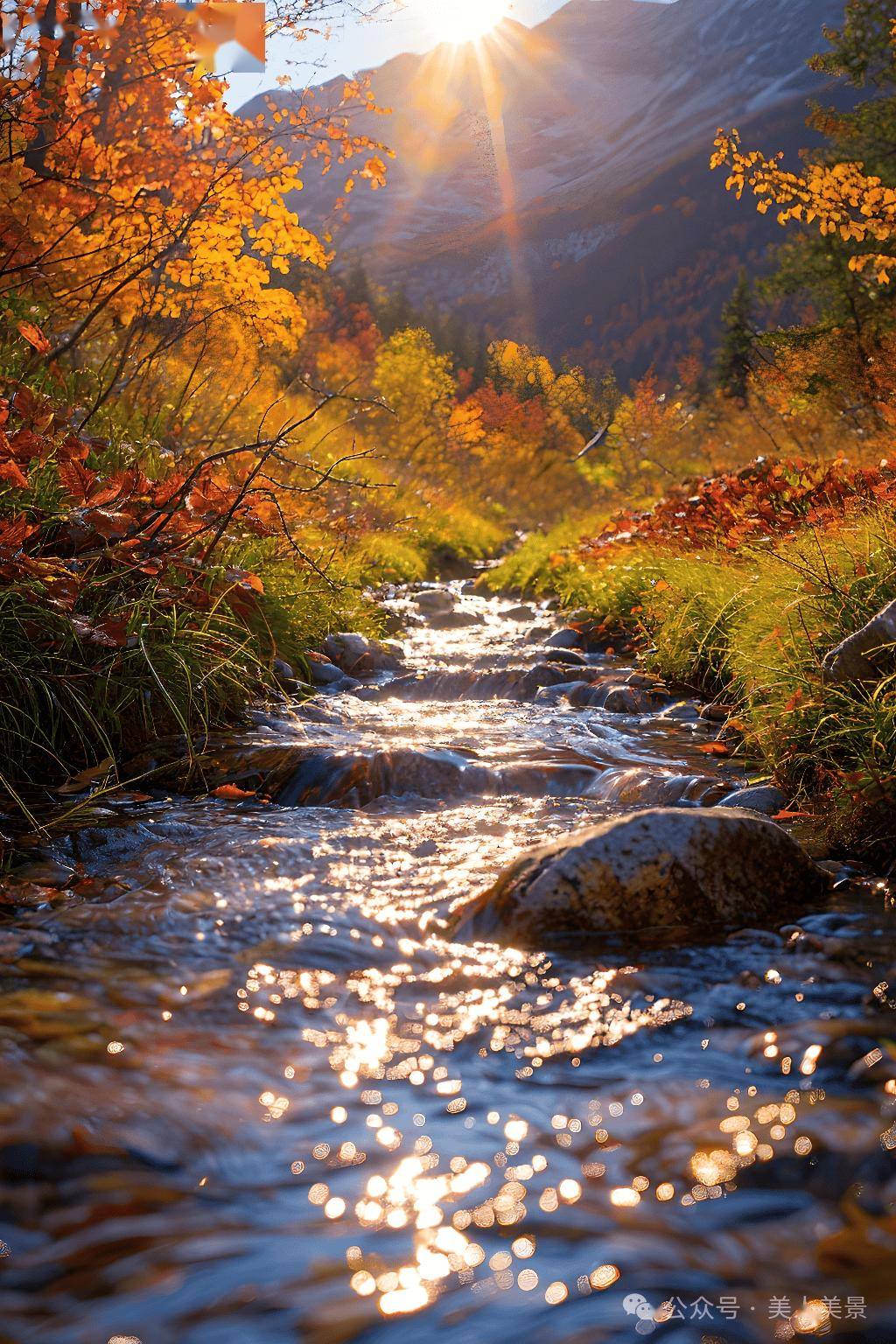 风景如画,养眼养心!