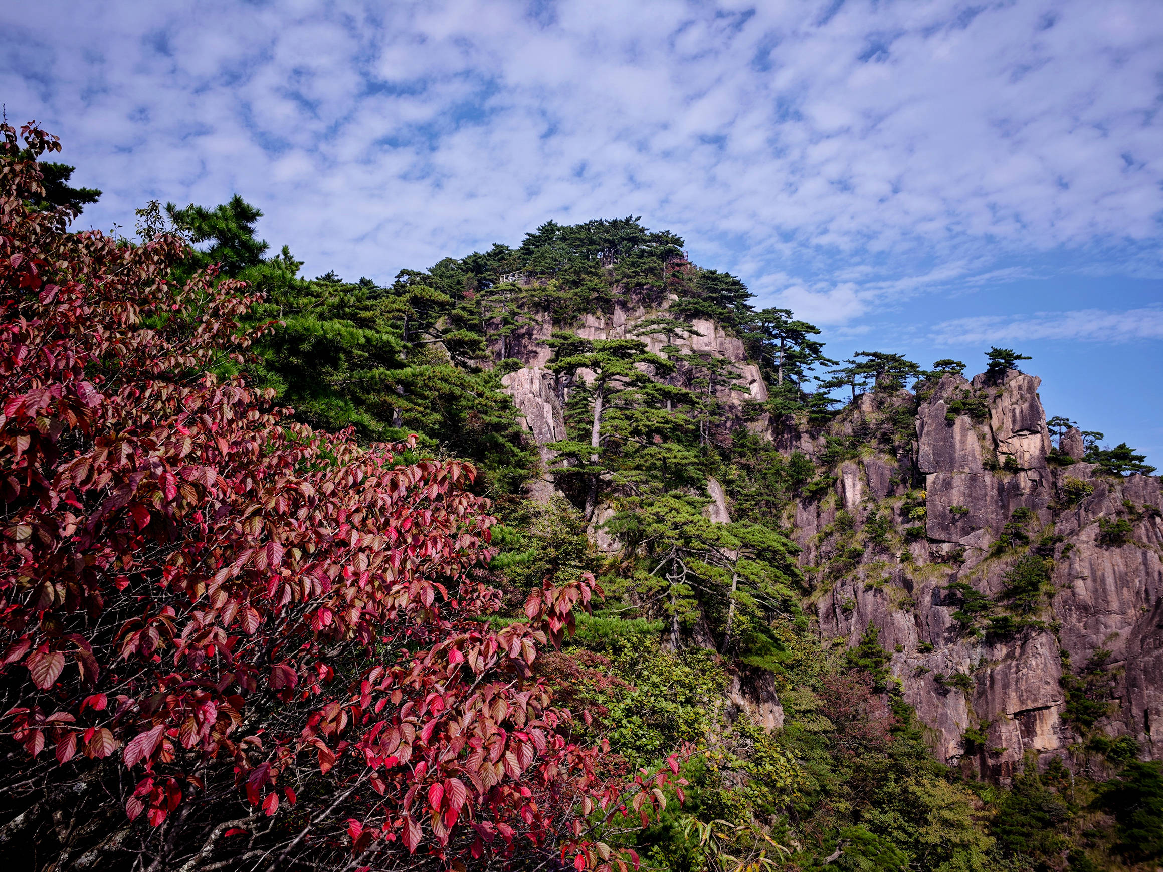 黄山秋景如画 游客纷至沓来